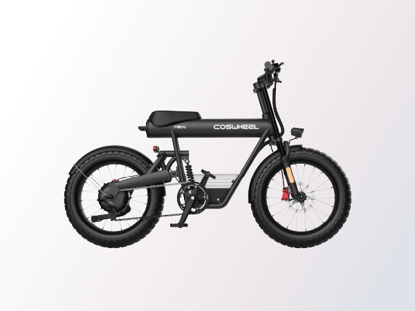 電動アシスト自転車